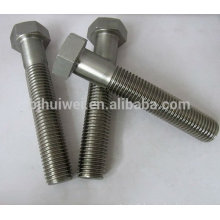 high quality titanium hex head bolts DIN934